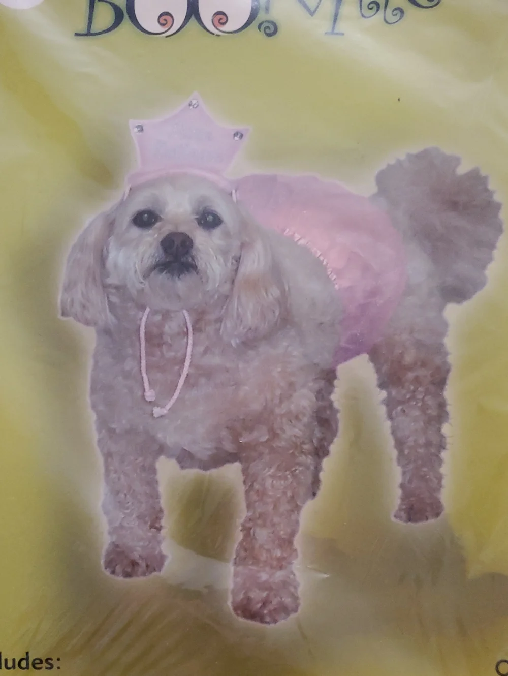 Pink Ballerina Dog Costume with Tiara & Tutu